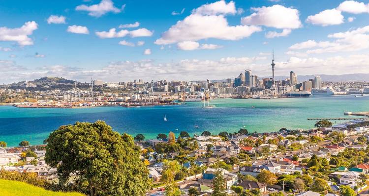 Blick auf die Stadtsilhouette und den Hafen von Auckland von einem Hügel aus.