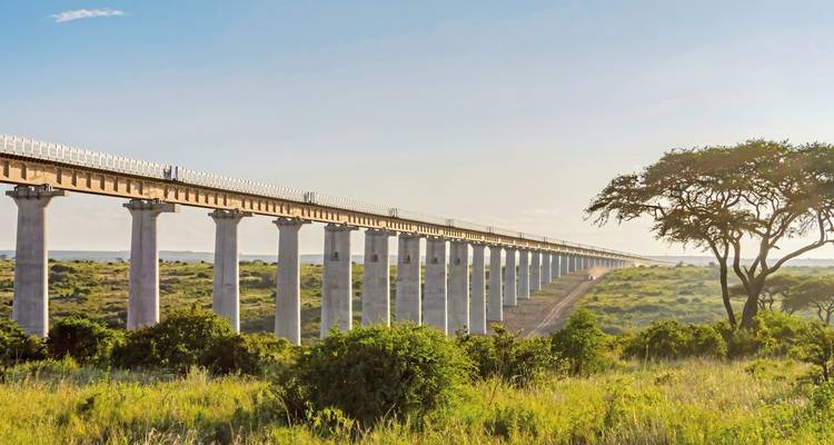 Eine lange erhöhte Eisenbahnbrücke, die sich über grüne Landschaft erstreckt.