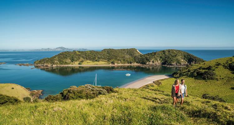 Couple walking in a grassy area overlooking a bay.