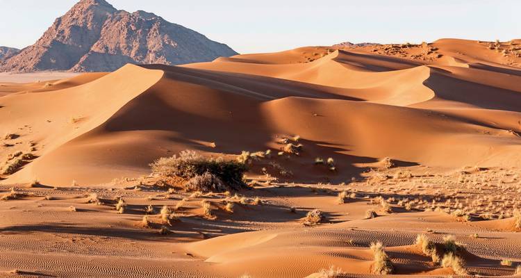 Weitläufige Sanddünen mit gewellten Oberflächen und einem einsamen Bergmassiv im Hintergrund im frühen Morgenlicht der Namib-Wüste.