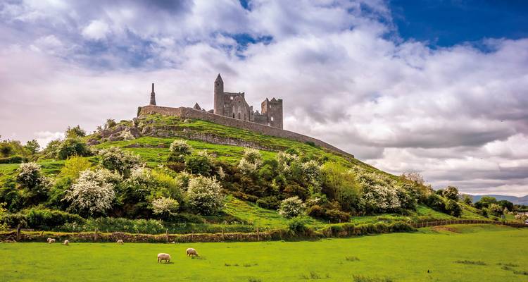 Historische Burgruinen auf einem grasbewachsenen Hügel mit Schafen.
