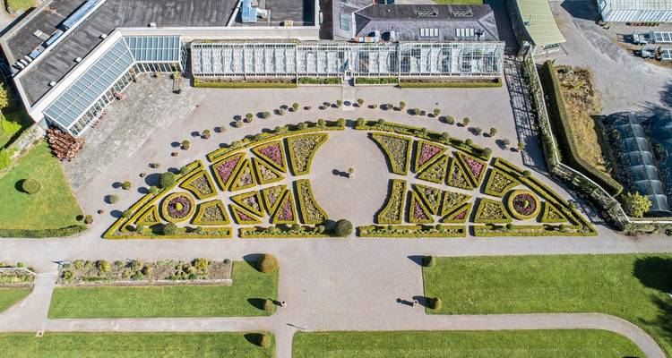 Aerial view of a geometrically designed garden with a variety of shrubs.