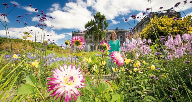 A couple exploring a colorful flower garden with a historic building in the background.