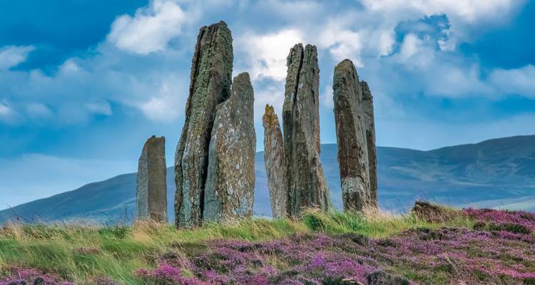 Cercle de pierres dressé sur une colline couverte de bruyère violette.