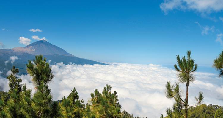 Vue majestueuse du Roque Cinchado et du mont Teide en début de soirée.