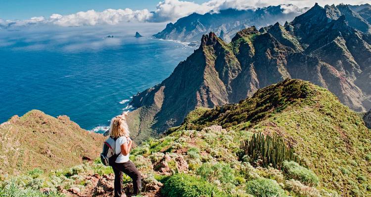 Le mont Teide s'élevant au-dessus de champs jaunes sous un ciel lumineux.