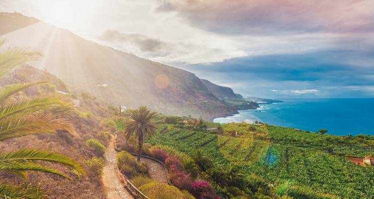 Les rayons de soleil se déversent sur les vignobles luxuriants en terrasses et les falaises escarpées qui descendent vers l'océan Atlantique azuré.