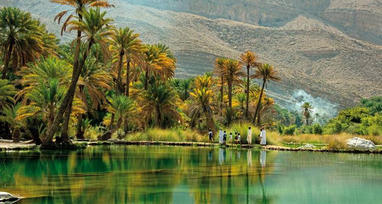 Dadelpalmenbomen rondom een serene waterpoel in een rotsachtige vallei.