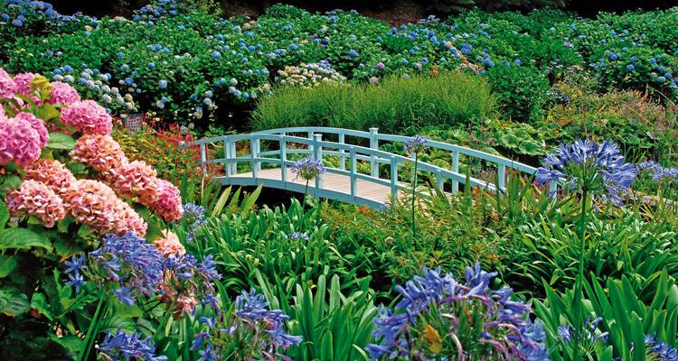 Un jardin vibrant avec un petit pont en bois au-dessus de l'eau.