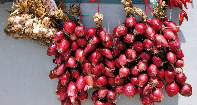 Des grappes d'oignons rouges suspendues à un mur.