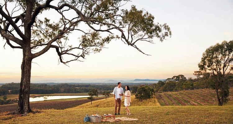 Un couple pique-niquant dans un vignoble avec une vue panoramique.