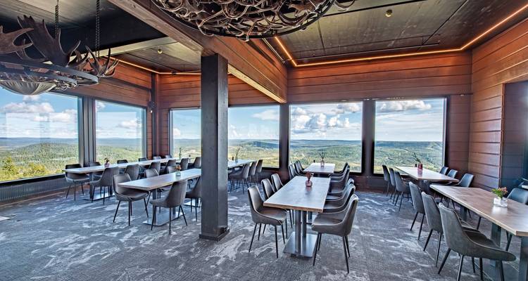 Área de comedor con grandes ventanas que ofrecen vistas de un paisaje verde.