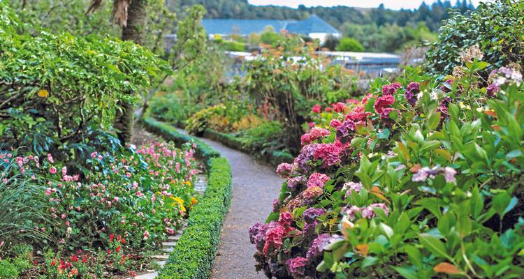 Picturesque garden path lined with colorful flowers and shrubs.