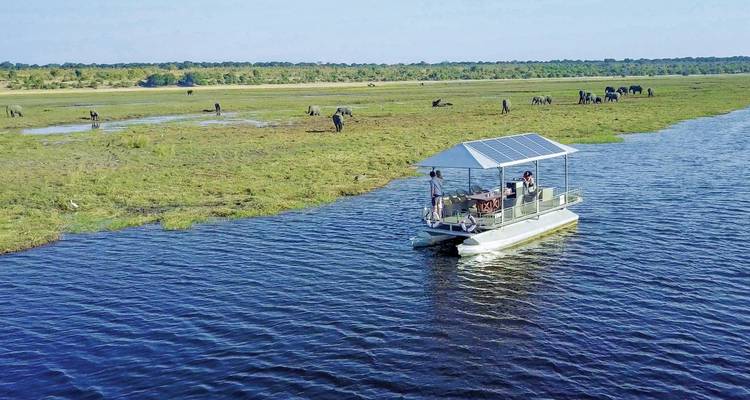 Barco con gente en un río con elefantes al fondo