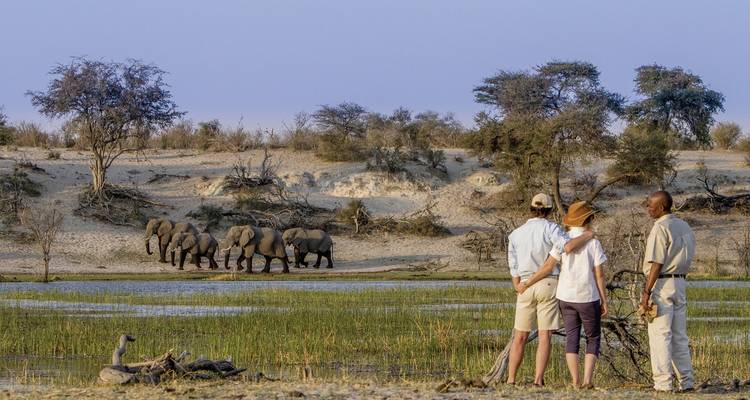 Menschen die olifanten observeren bij een waterpoel.