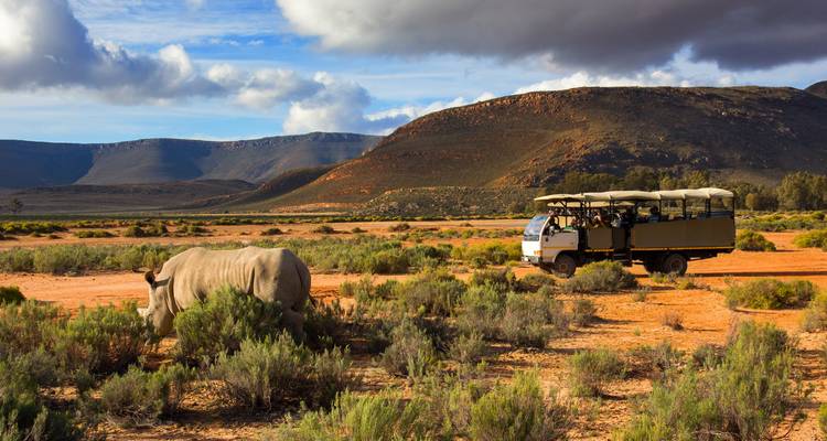Des touristes observant un rhinocéros dans un paysage de safari.
