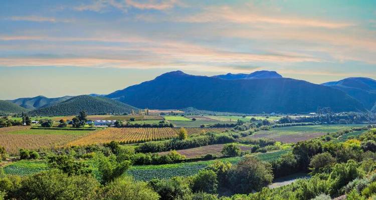 Vallée agricole luxuriante aux champs en damier, vergers et collines basses sous un ciel coloré en fin d'après-midi.