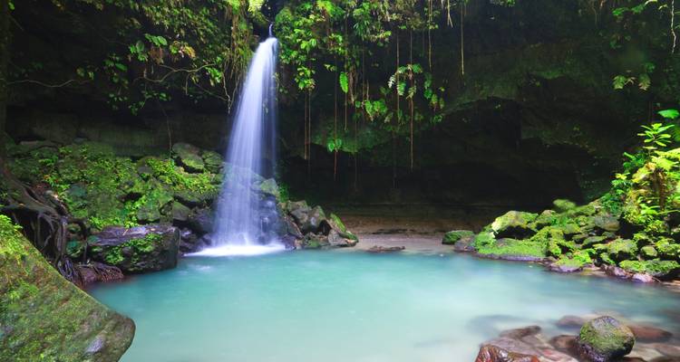 Waterfall cascading into a serene pool in a lush forest.