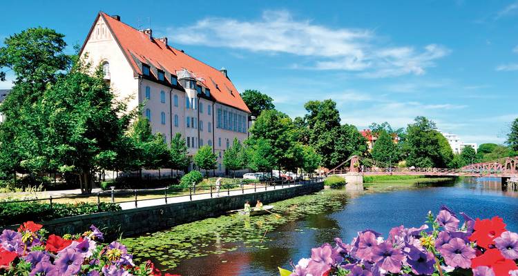 A picturesque riverside with trees and flowers.