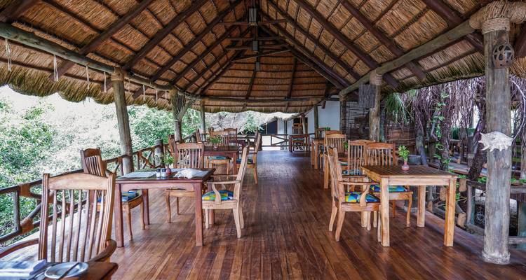 Offener Essbereich in waldiger Umgebung.