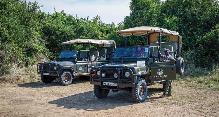 Safari-Fahrzeuge mit Passagieren und einem Führer im Park.
