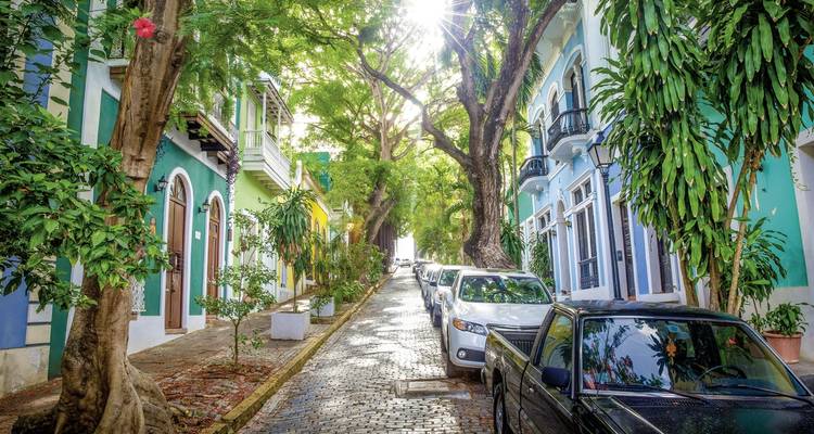 Kleurrijke koloniale straat met bomen en geparkeerde auto's.