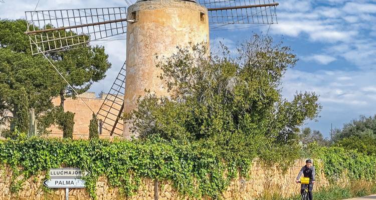 Molino de viento y un ciclista en un día soleado.