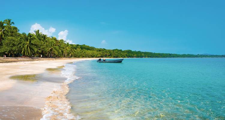 Plage sereine avec des eaux turquoise calmes et du sable blanc.