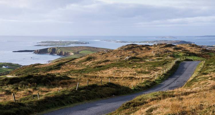 Road winding through a hilly coastal landscape.