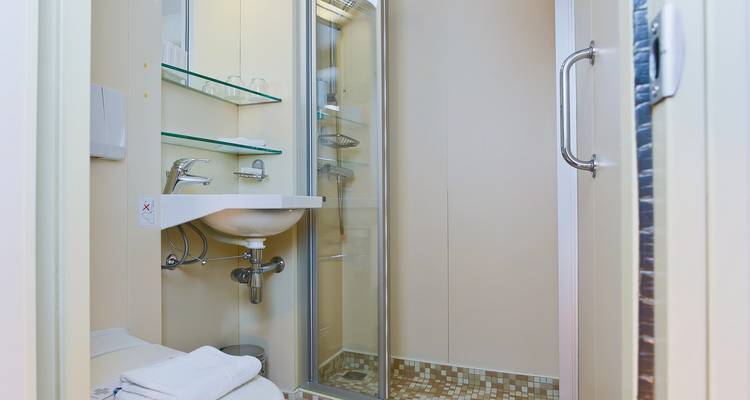 Small bathroom with a shower and sink on a river cruise ship.