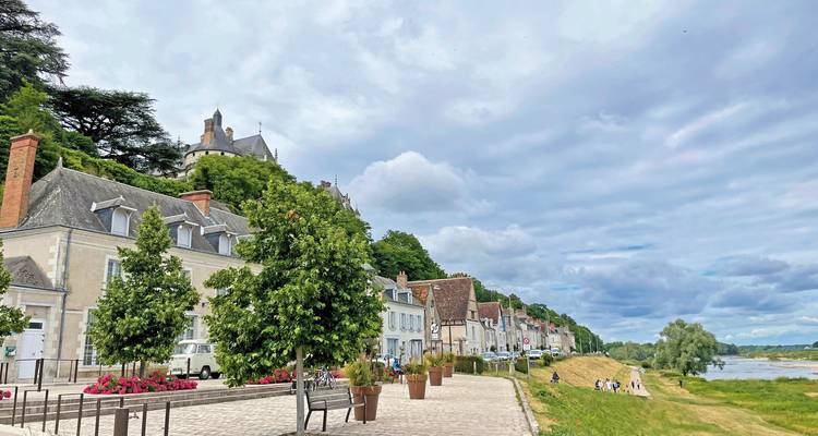 Riverside town with historical buildings, trees, and paths.