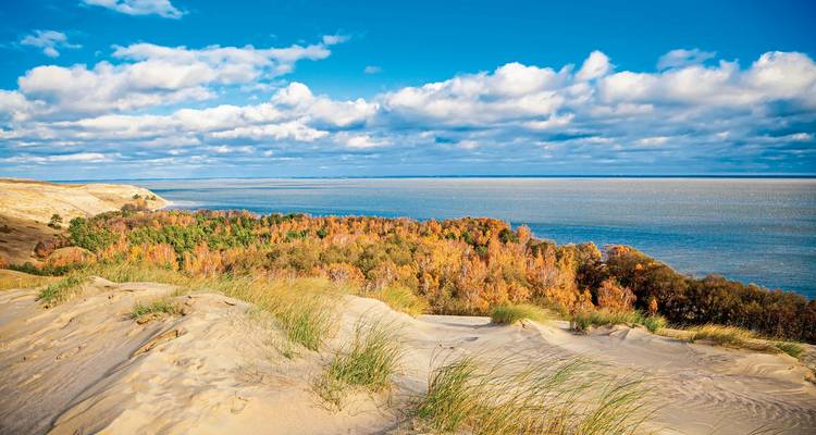 Une côte sablonneuse avec une forêt aux couleurs d'automne et une vue étendue sur l'eau.