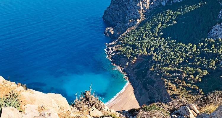 Aerial view of a secluded beach with clear blue waters.
