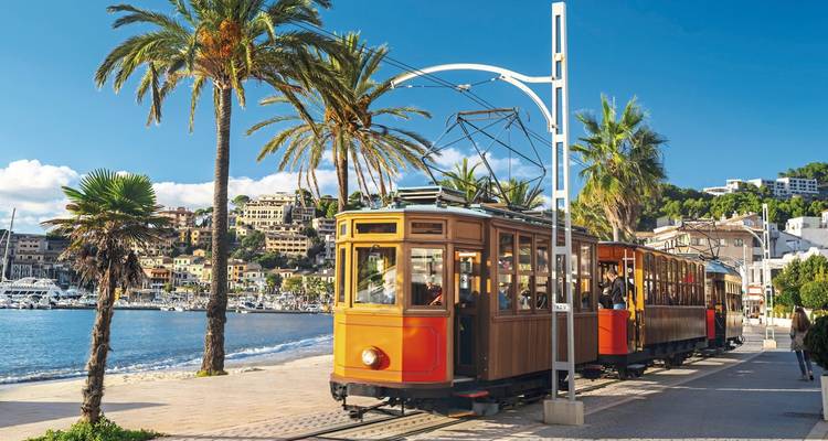 Tram on the beachfront promenade with palm trees.