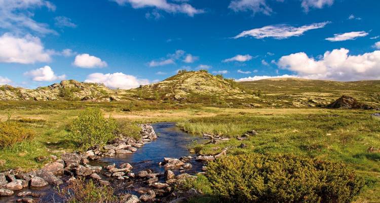 Beautiful Norwegian landscape with a stream and grassy hills under a blue sky.