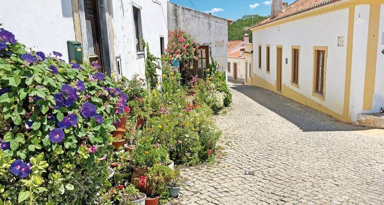 Rue pavée étroite avec des fleurs colorées et des bâtiments traditionnels.