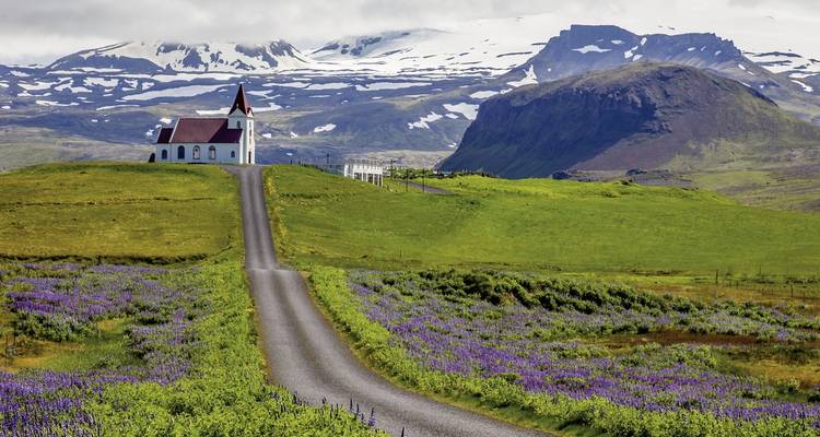 Isolated church on a hill with a mountain backdrop and fields of flowers.