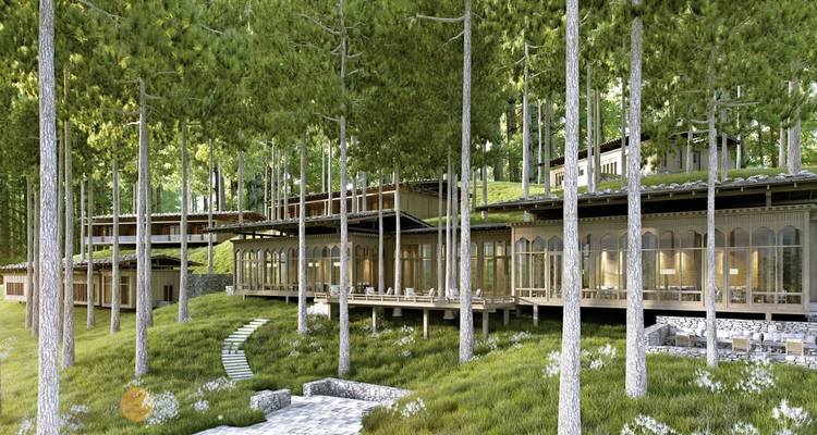 Waldloge gebaut zwischen hohen Bäumen mit großflächiger Verglasung.