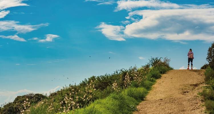 Persoon die wandelt op een pad met groene omgeving en blauwe lucht.