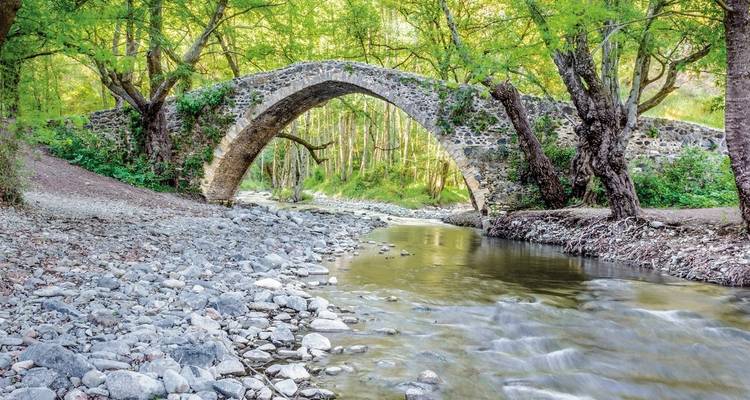 Stenen boogbrug over een beekje in een weelderig groen bos.