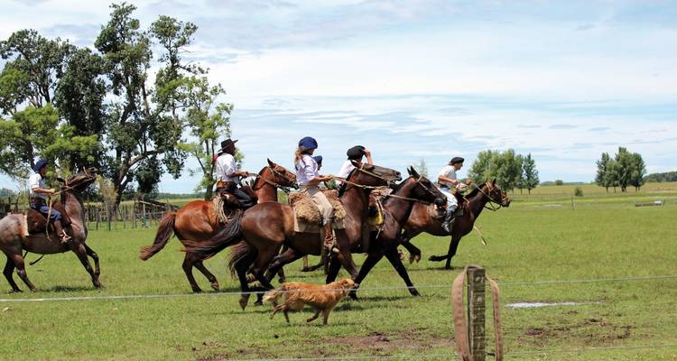 People horseback riding on a grassy field with a dog.