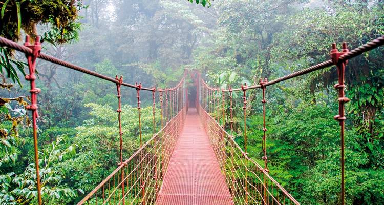 Bunte Hängebrücke in einem nebligen Regenwald.