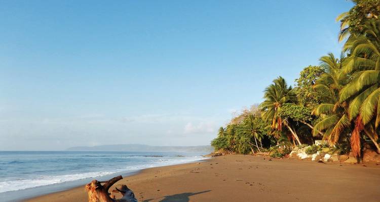 Sandstrand mit Palmen und blauem Ozean.