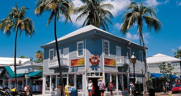 Lebhafter Key West Holzladen mit Touristen, die unter hohen Palmen stöbern.