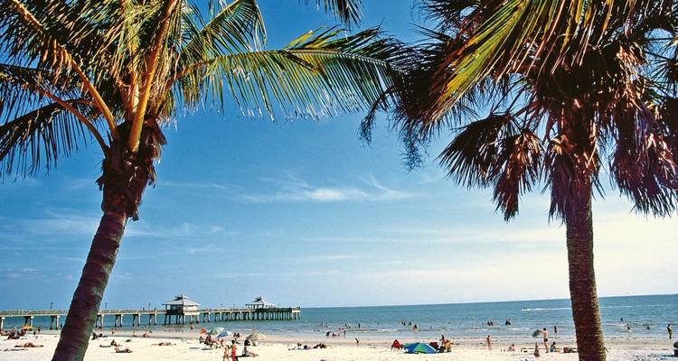 Palmengerahmte Strandszene mit Schwimmern und einem langen Pier, der sich über das Meer erstreckt.