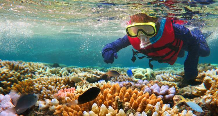 Schnorchler mit lebhaftem Korallenriff und Fischen unter Wasser.