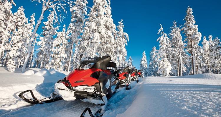 Des motoneiges alignées sur un sentier enneigé dans une forêt.