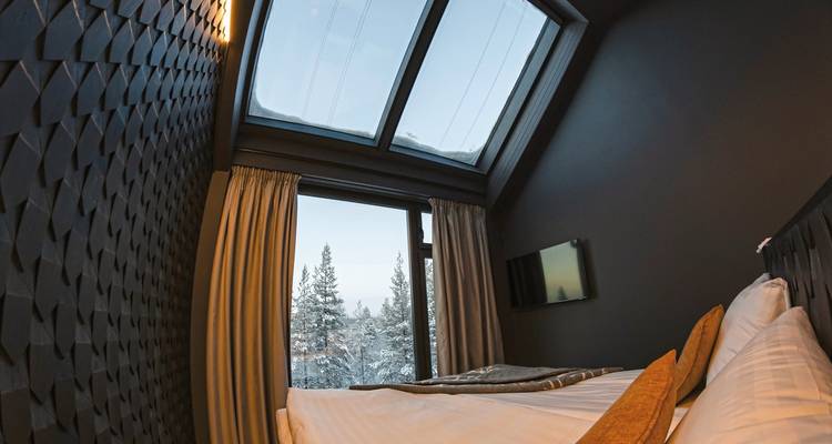 Chambre avec des arbres couverts de neige visibles à travers une grande fenêtre.
