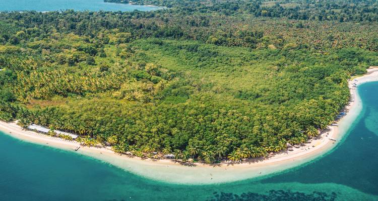 Aerial view of a tropical beach with lush vegetation.
