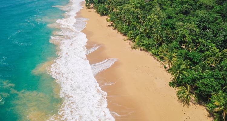 Beautiful beach with waves and lush trees.
